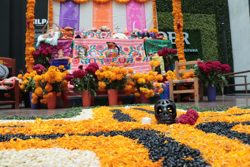 Garantizado, abasto de flores para Día de Muertos: Agricultura - Caudal  Informativo