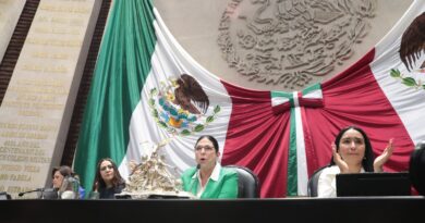 En el país se reunirán los presidentes de parlamentos de México, Indonesia, Corea, Turquía y Australia: Marcela Guerra
