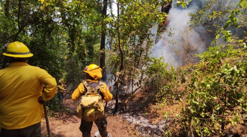 Bajo control, 3 incendios forestales en Valle de Bravo: Gobierno del Estado de México