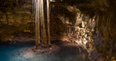 Yucatán: Aventura viva entre manglares, cuevas, selva y tradiciones