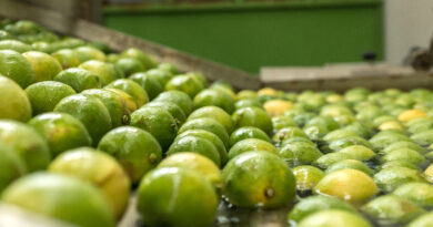 La inocuidad alimentaria es posible con tecnologías seguras y con un enfoque científico