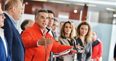 Confirma OEA advertencia del PRI: elección de jueces, riesgo para la justicia