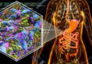 Estos son los cinco hábitos que dañan tu microbiota sin que te des cuenta