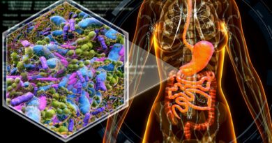 Estos son los cinco hábitos que dañan tu microbiota sin que te des cuenta