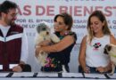 Por primera vez en Q Roo, Mara Lezama impulsa Caravanas de Bienestar Animal para proteger y mejorar calidad de vida de mascotas