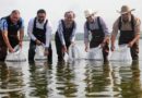 Impulsa Secretaría del Campo EdoMéx acuacultura en Jilotepec con 558 mil crías de carpa entregadas en 2025