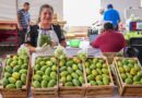 Vive un fin de semana de cultura y sabor en la Feria Internacional de la Tuna 2025