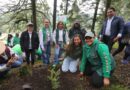 Restaura Gobierno del EdoMéx Cuenca del Río Lerma con plantación de más de 2 mil 700 árboles