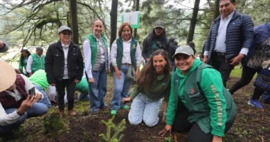 Restaura Gobierno del EdoMéx Cuenca del Río Lerma con plantación de más de 2 mil 700 árboles