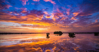 Saca el fotógrafo que llevas dentro: Dónde contemplar los mejores atardeceres de Yucatán