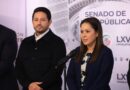 Celebra Partido Verde suspensión de cuarto muelle en Cozumel