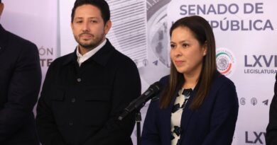 Celebra Partido Verde suspensión de cuarto muelle en Tulum