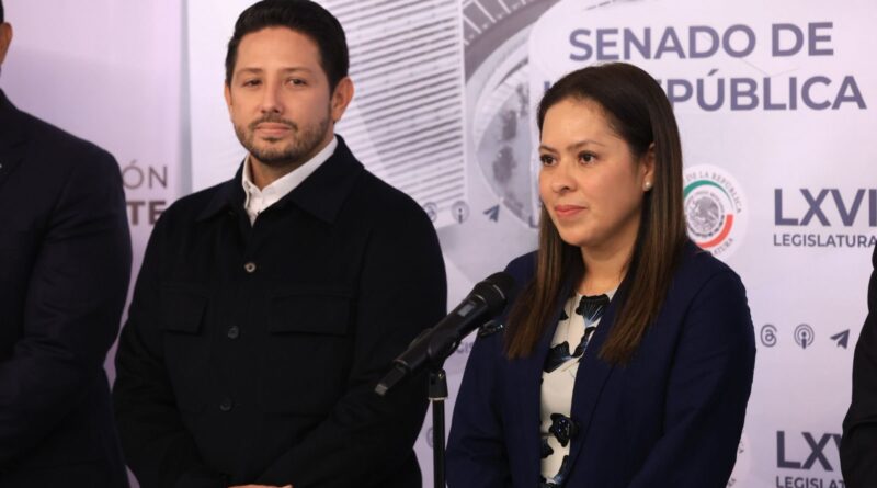 Celebra Partido Verde suspensión de cuarto muelle en Tulum
