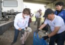 Gobernadora Delfina Gómez rompe Récord Guinness por recolección de basura