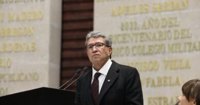 Se endurecen sanciones contra taladores y quien destruya los bosques: Ricardo Monreal