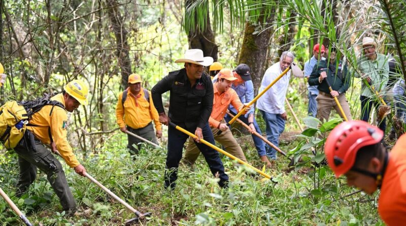 En La Concordia, Eduardo Ramírez fortalece la prevención de incendios forestales En La Concordia, Eduardo Ramírez fortalece la prevención de incendios forestales