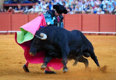 La tauromaquia, más viva que nunca en 2025 La tauromaquia, más viva que nunca en 2025