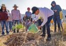 Gobierno del EdoMéx celebra “Día del Amor y la Amistad por el Bosque” con jornada de reforestación en 9 municipios
