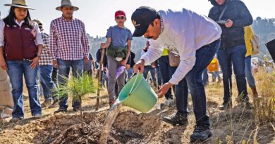 Gobierno del EdoMéx celebra “Día del Amor y la Amistad por el Bosque” con jornada de reforestación en 9 municipios
