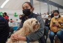 Invita Gobierno del EdoMéx a dueños de mascotas a participar en la Semana Nacional de Vacunación Antirrábica Canina y Felina 2026