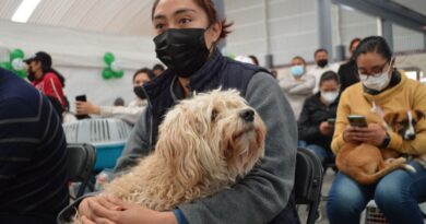 Invita Gobierno del EdoMéx a dueños de mascotas a participar en la Semana Nacional de Vacunación Antirrábica Canina y Felina 2026