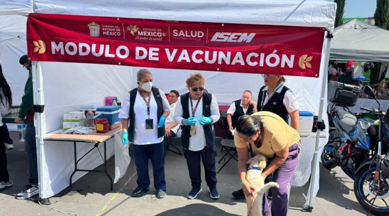 Protege Gobierno del EdoMéx a lomitos y michis con la aplicación de más de 707 mil dosis de vacunas contra la rabia