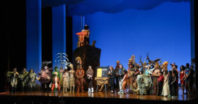 El Rey León, el musical de Broadway, ha rugido durante un año en la Ciudad de México