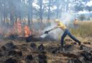 Opera Gobierno del EdoMéx Teléfono Rojo para atender incendios forestales de manera oportuna