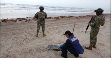 Afectaciones provocadas por derrame de hidrocarburo en el Golfo de México evidencian la incapacidad de respuesta del gobierno: PAN
