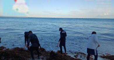 Marina, Gobierno estatal y sector hotelero de Quintana Roo realizan acciones para contener el sargazo en Semana Santa