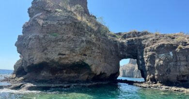 Piden intervención del Senado para evitar daño ecológico a santuario de ballenas en Loreto, BCS