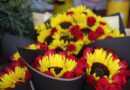EdoMéx, primer lugar a nivel nacional en producción de las flores más comerciales para el Día de las Madres