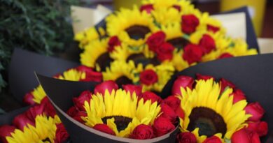 EdoMéx, primer lugar a nivel nacional en producción de las flores más comerciales para el Día de las Madres