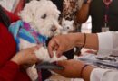 Ley de Bienestar Animal del EdoMéx contempla Registro Único de mascotas, Padrón de Asociaciones y Consejo Ciudadano