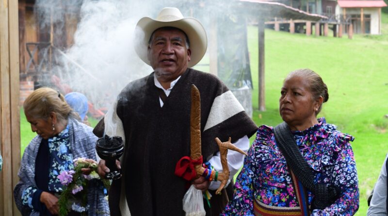 Conserva Gobierno del EdoMéx hábitats sanos para proteger a las luciérnagas, indicadoras de la salud de los ecosistemas forestales