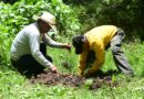Restaura Gobierno del Estado de México Bosques de Galería para proteger ríos y conservar el agua