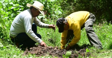 Restaura Gobierno del Estado de México Bosques de Galería para proteger ríos y conservar el agua
