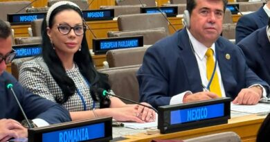 Pedro Haces Barba propone desde la ONU nueva agenda parlamentaria para acelerar desarrollo sostenible