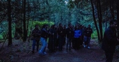 Festival Internacional de las Luciérnagas 2026 del Gobierno del EdoMéx reúne a más de 57 mil visitantes