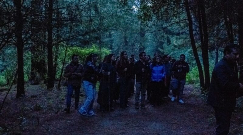 Festival Internacional de las Luciérnagas 2026 del Gobierno del EdoMéx reúne a más de 57 mil visitantes