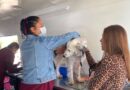 Con más de mil 200 servicios gratuitos y 29 adopciones responsables, EdoMéx celebró el Día Mundial del Perro