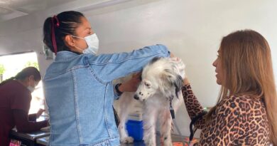 Con más de mil 200 servicios gratuitos y 29 adopciones responsables, EdoMéx celebró el Día Mundial del Perro