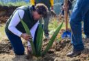 Gobernadora Delfina Gómez encabeza Jornada Nacional de Reforestación en EdoMéx; plantan 4 mil árboles