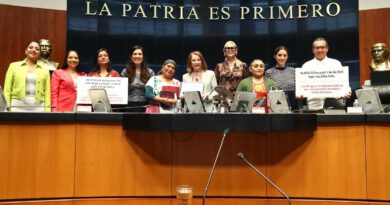 Piden reforzar la estrategia nacional de prevención y atención de riesgos asociados al uso de videojuegos Piden reforzar la estrategia nacional de prevención y atención de riesgos asociados al uso de videojuegos