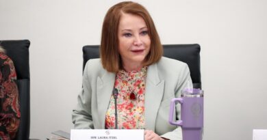 Laura Itzel Castillo presentará su informe anual de labores como presidenta del Senado el 17 de agosto