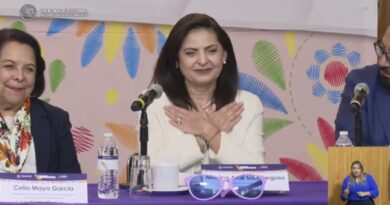 Renuncia magistrada Mónica Soto al TEPJF