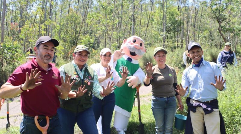 Gobierno de EdoMéx y Fundación Simiplaneta suman esfuerzos en Áreas Naturales Protegidas con proyectos de combate a la deforestación e incendios Gobierno de EdoMéx y Fundación Simiplaneta suman esfuerzos en Áreas Naturales Protegidas con proyectos de combate a la deforestación e incendios
