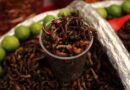 Reúne EdoMéx a 56 cocineras tradicionales y cinco pueblos originarios en primer encuentro gastronómico “Saberes y Sabores de mi Tierra”