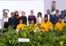 Claudia Sheinbaum presenta Jornada Nacional de Reforestación 2026; se plantarán 6.6 millones de árboles Claudia Sheinbaum presenta Jornada Nacional de Reforestación 2026; se plantarán 6.6 millones de árboles