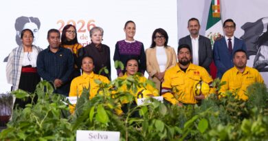 Claudia Sheinbaum presenta Jornada Nacional de Reforestación 2026; se plantarán 6.6 millones de árboles